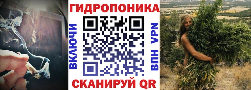 Где купить наркоту Медвежьегорск ГАШИШ  Alpha-PVP  Cocaine  Меф  mega tor  МАРИХУАНА  АМФ 