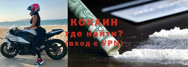 PSILOCYBIN Лагань