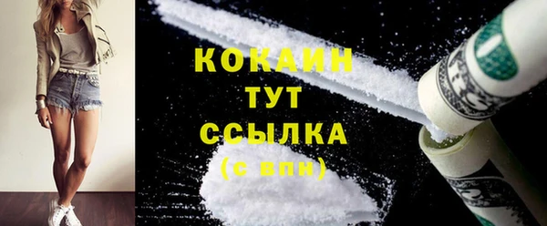 мдпв Лабытнанги