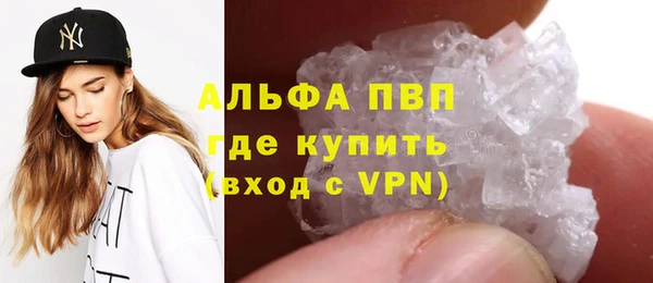 PSILOCYBIN Лагань