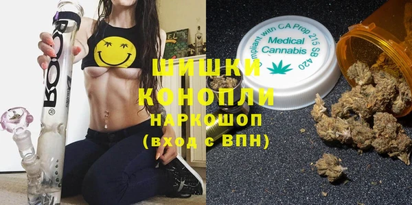 PSILOCYBIN Лагань