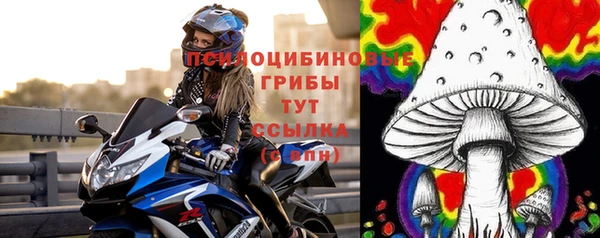 мдпв Лабытнанги