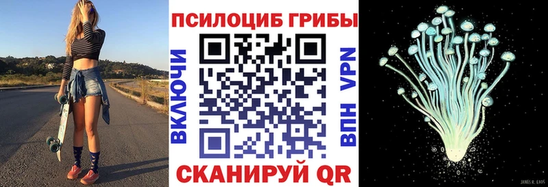 Псилоцибиновые грибы GOLDEN TEACHER  Медвежьегорск 
