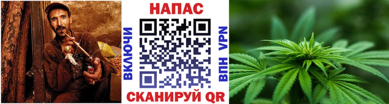Шишки марихуана марихуана  Медвежьегорск 